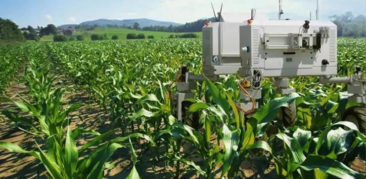 农业领域的未来:机器人,航空成像,还有人工智能